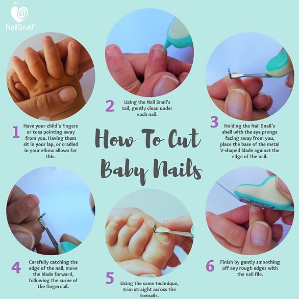 A Gentle Guide to Cutting Your Baby's Nails with the Nail Snail Baby Nail Trimmer